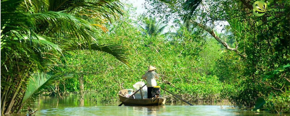 Mekong Delta in Deep 